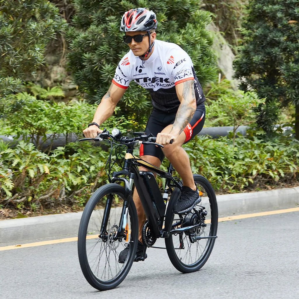 Electric Bike Electric Mountain Bike 500W 26'' Commuter Ebike, 20MPH Adults Electric Bicycle with Removable 48V/374.4Wh Battery, LCD-Display and Professional 21 Speed Gears