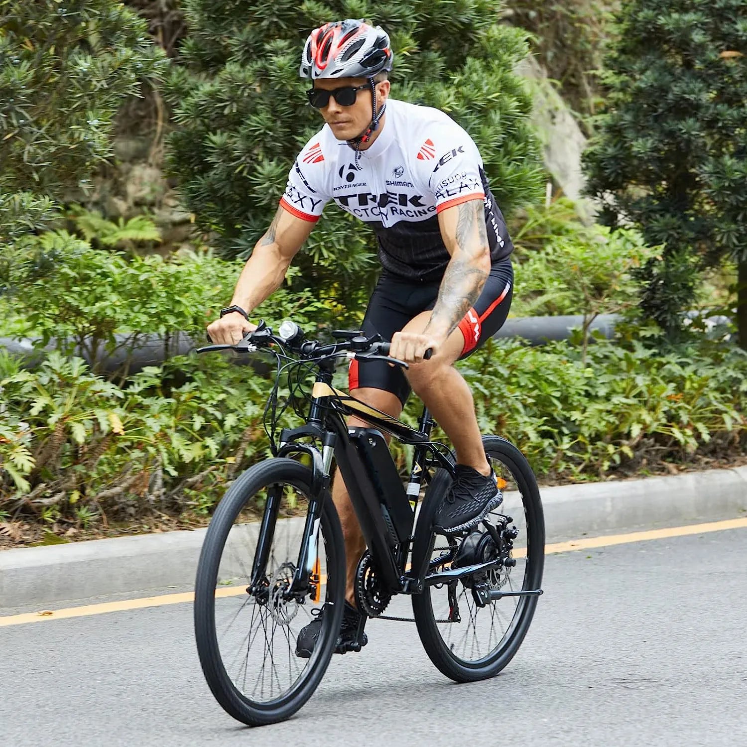 Electric Bike Electric Mountain Bike 500W 26'' Commuter Ebike, 20MPH Adults Electric Bicycle with Removable 48V/374.4Wh Battery, LCD-Display and Professional 21 Speed Gears