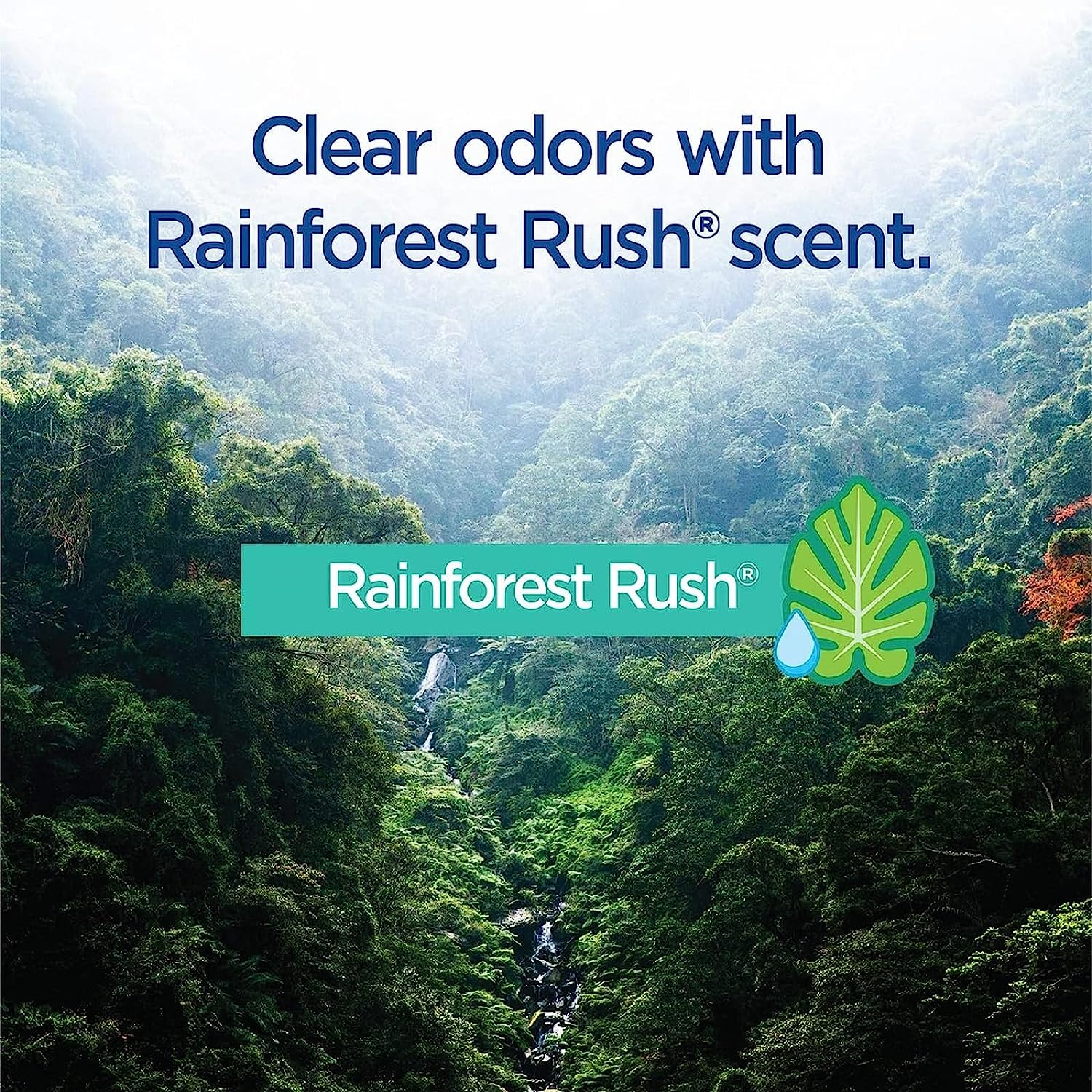 Toilet Wand Disinfecting Refills, Toilet and Bathroom Cleaning, Toilet Brush Heads, Disposable Wand Heads, Rainforest Rush, 30 Count