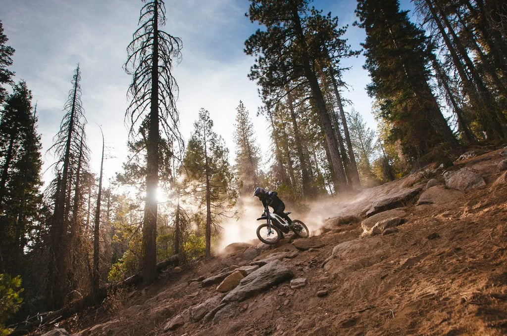 ⏰TODAY'S CLEARANCE SALE!⏰Segway Dirt eBike X260