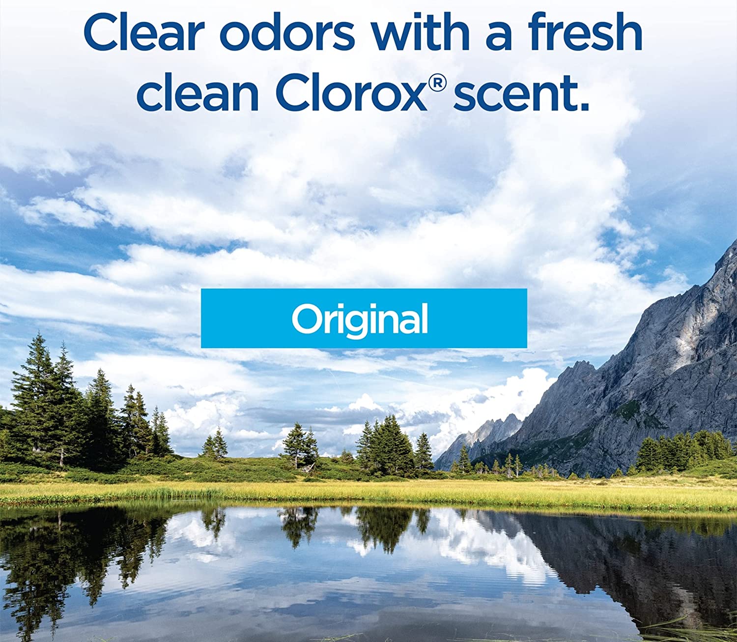 Clorox ToiletWand Disposable Toilet Cleaning Kit, Toilet Brush, Toilet and Bathroom Cleaning System with Storage Caddy and 6 Disinfecting ToiletWand Refill Heads (Package May Vary)