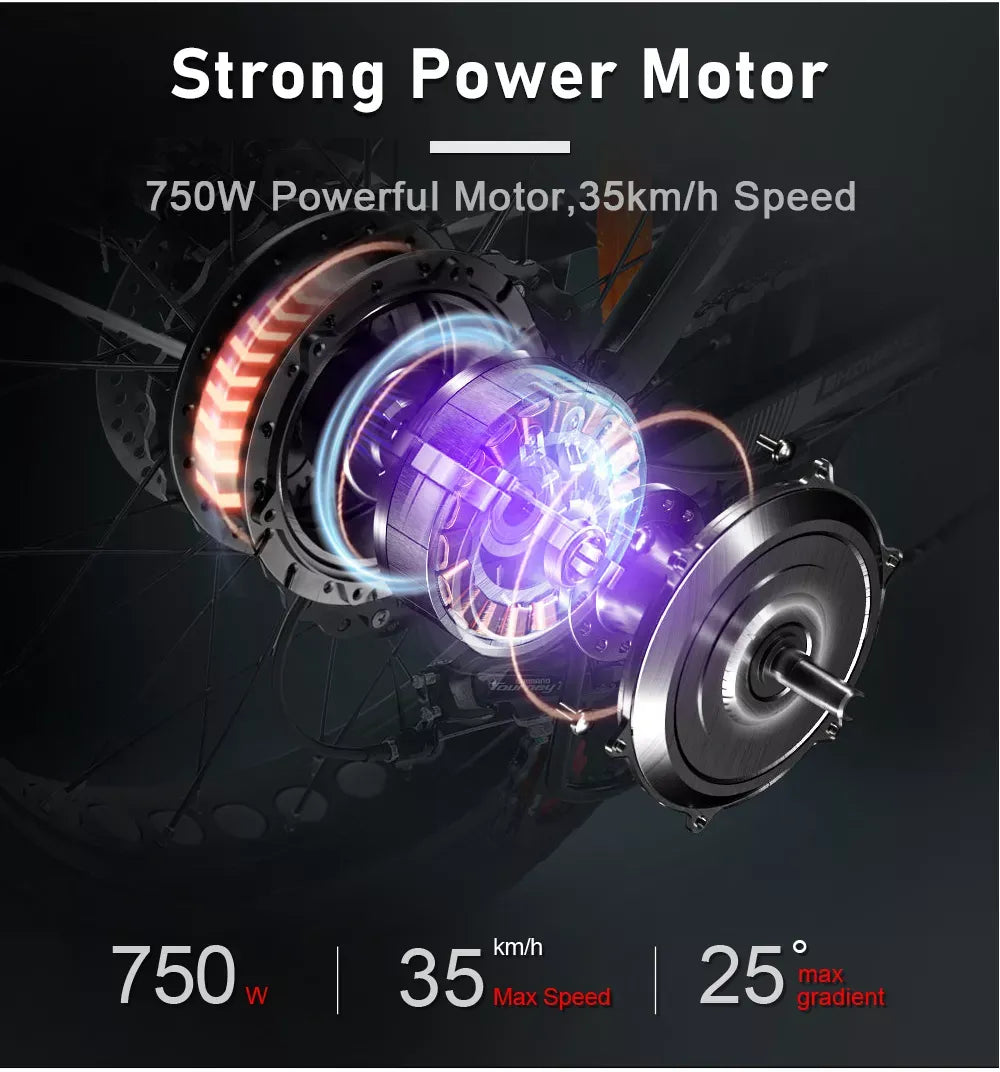 ✨Outdoor electric bike with 48V / 15AH battery✨