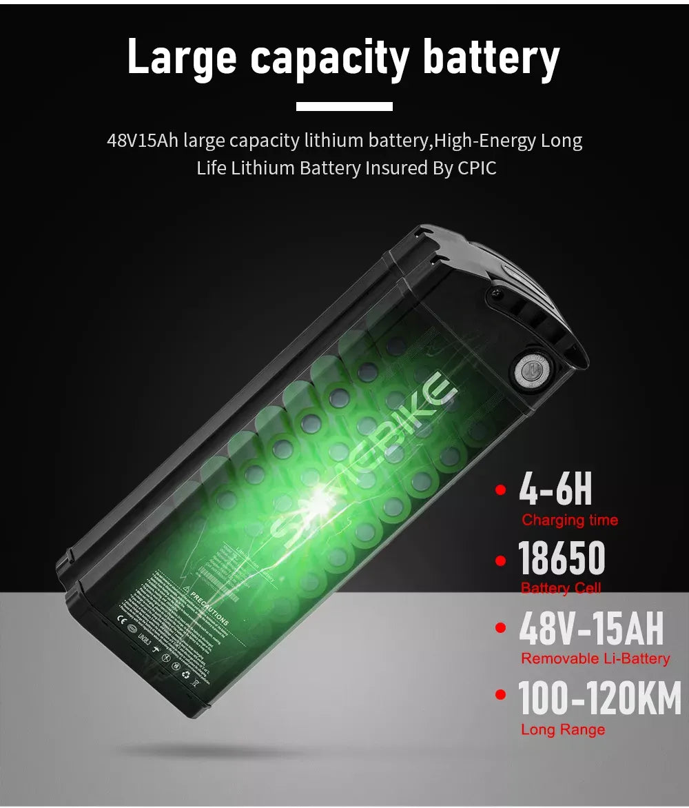 ✨Outdoor electric bike with 48V / 15AH battery✨